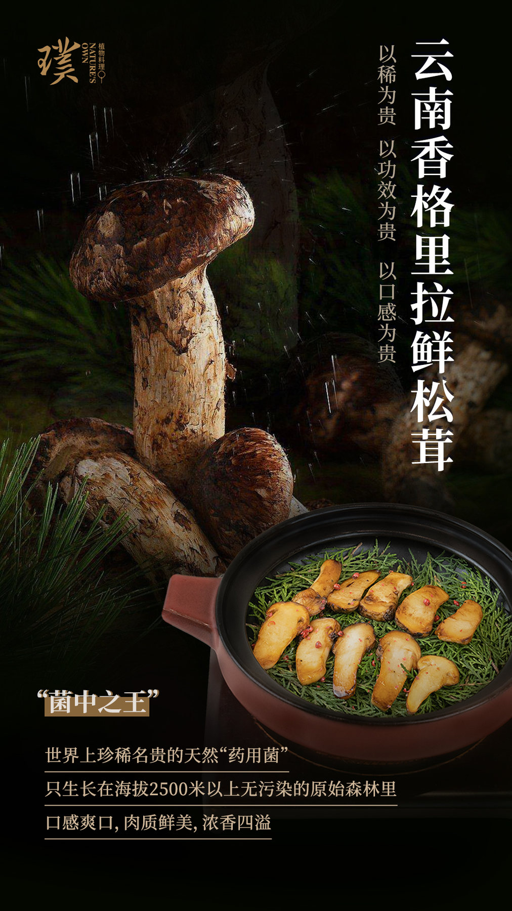 食材海报
